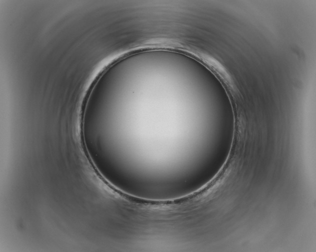 X0000113021288200908271426