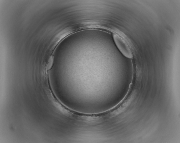 X0000113021289200908271426