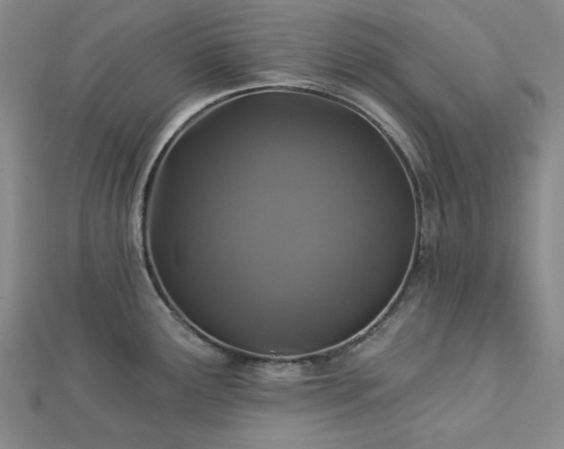X0000113021291200908271425