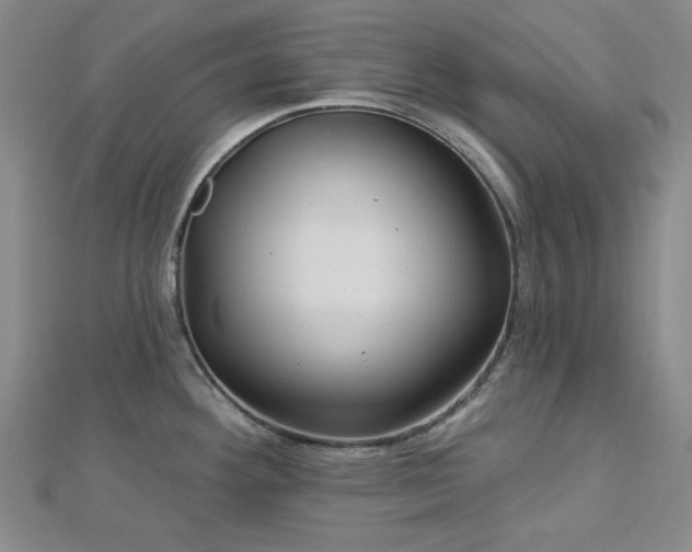 X0000113021292200908271425