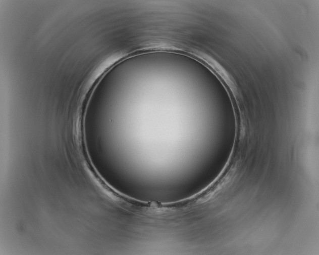X0000113021293200908271425