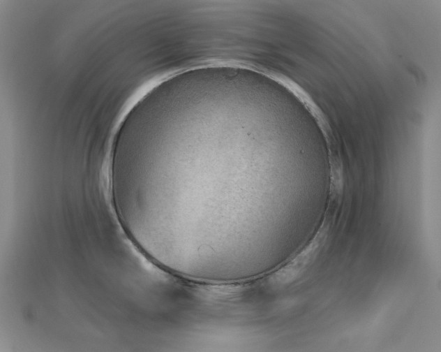 X0000113021294200908271425