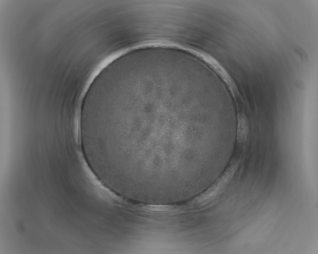 X0000113021295200908271425