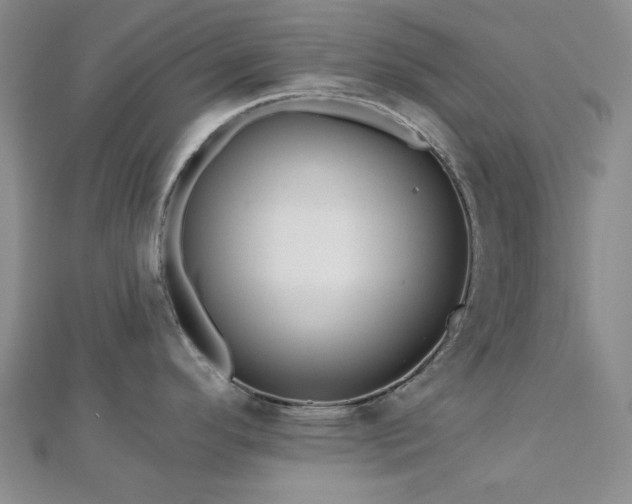 X0000113021296200908271425
