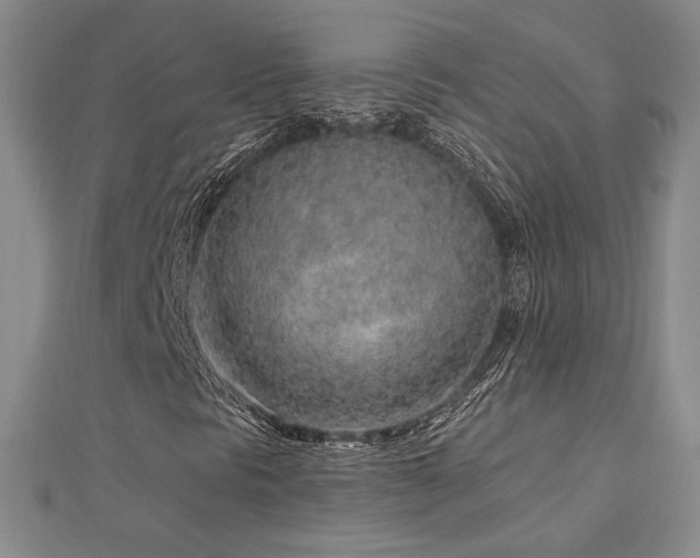X0000113021297200908271425