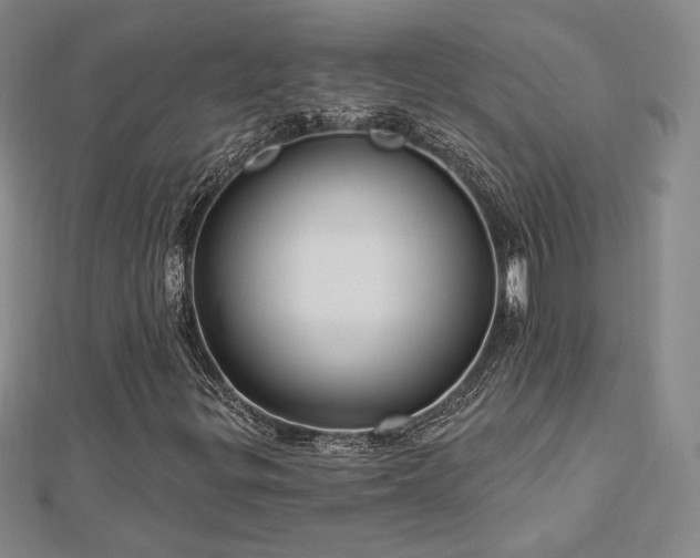 X0000113021299200908271425