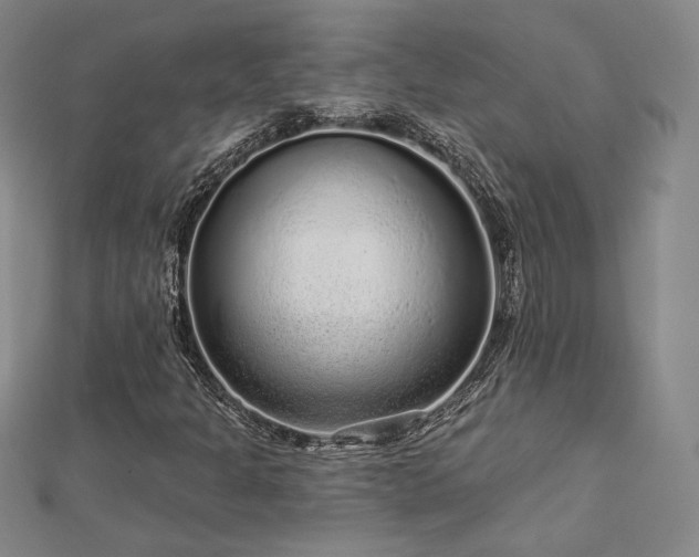 X0000113021301200908271425
