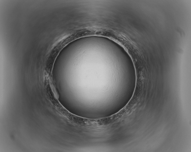 X0000113021302200908271425