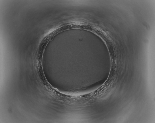 X0000113021303200908271425