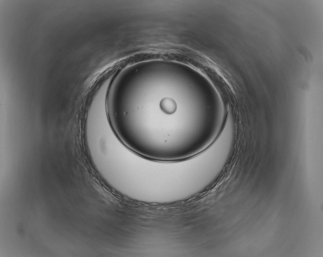 X0000113021304200908271425