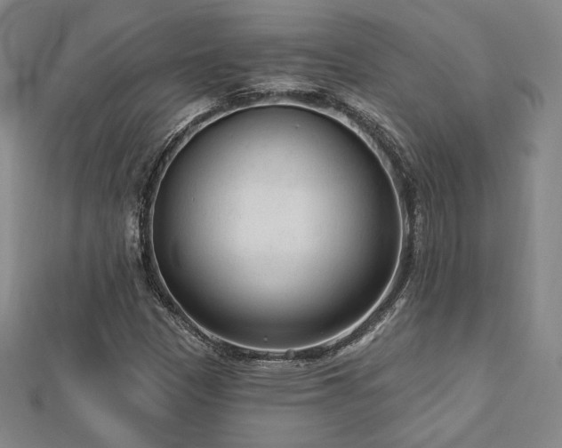 X0000113021305200908271425