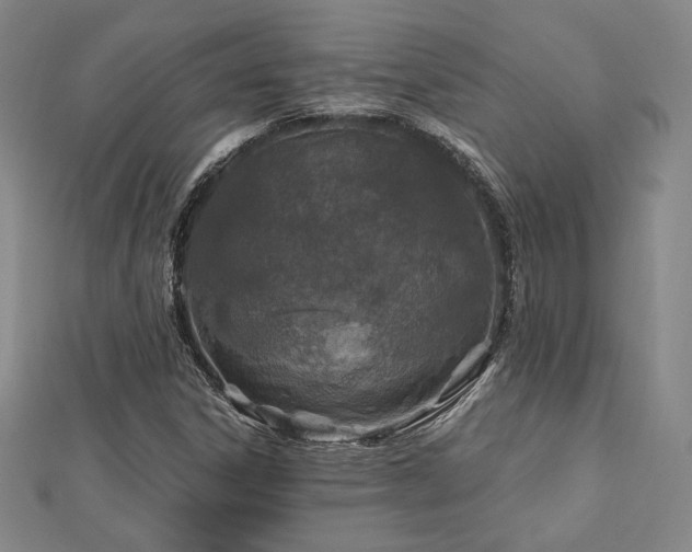 X0000113021306200908271425