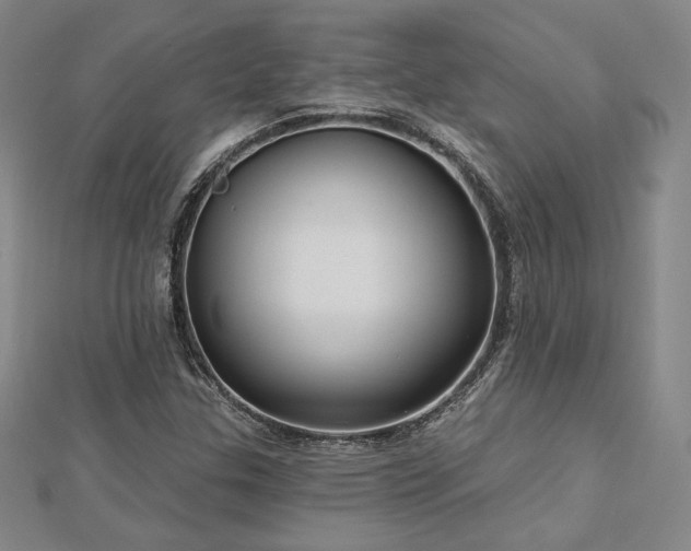 X0000113021307200908271425