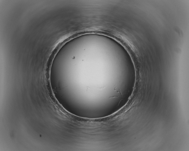 X0000113021308200908271425