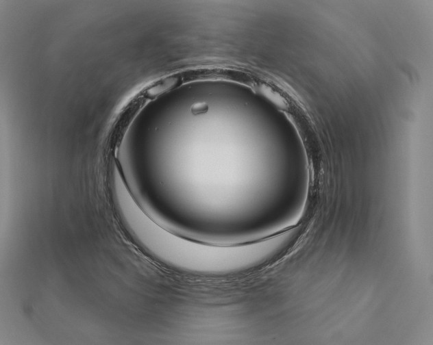 X0000113021310200908271425