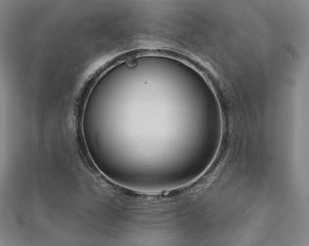 X0000113021311200908271425