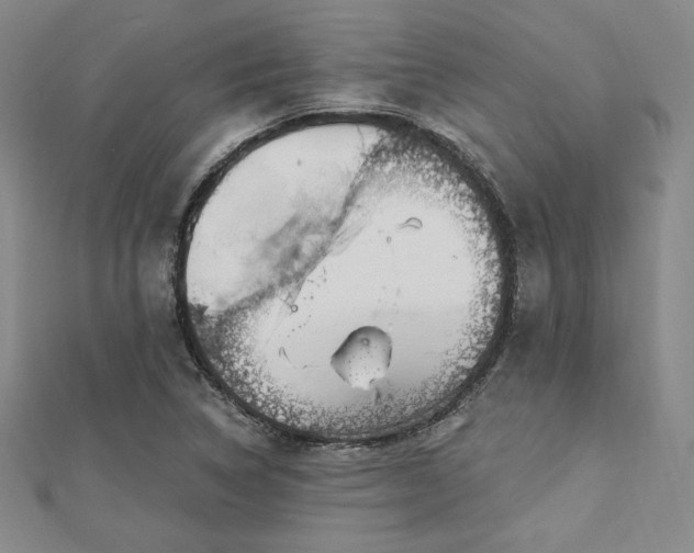 X0000113021314200908271425