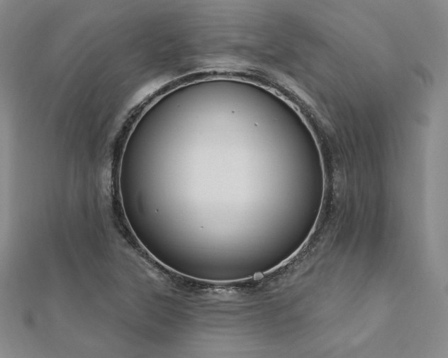 X0000113021315200908271425