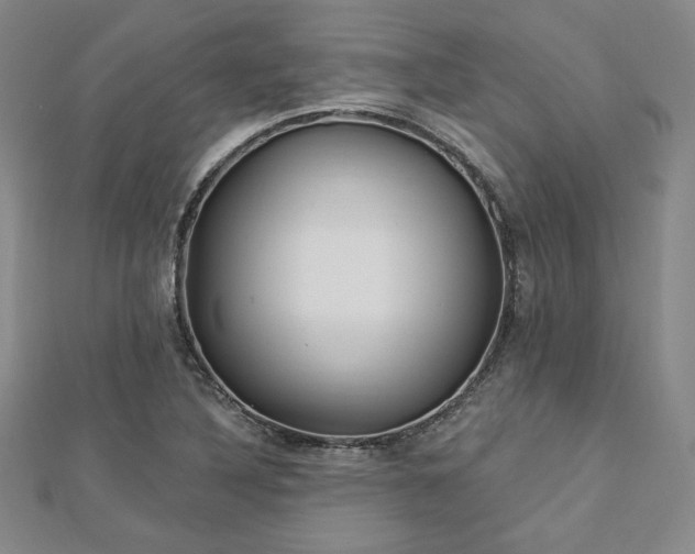 X0000113021316200908271425