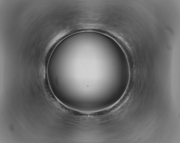 X0000113021317200908271425