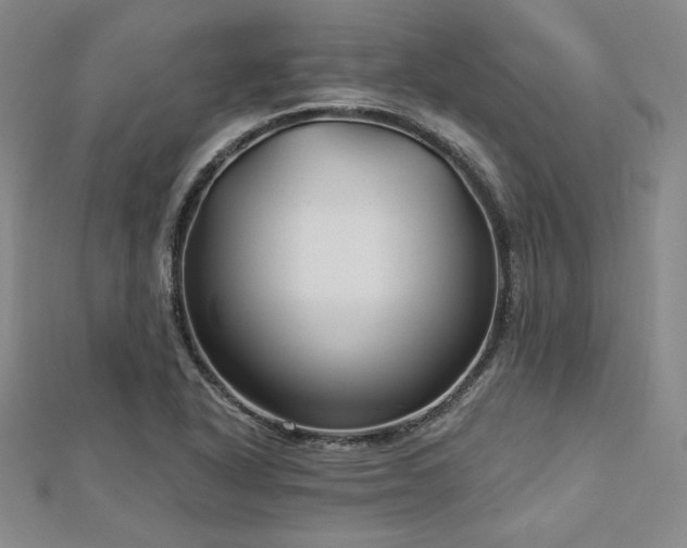 X0000113021318200908271425