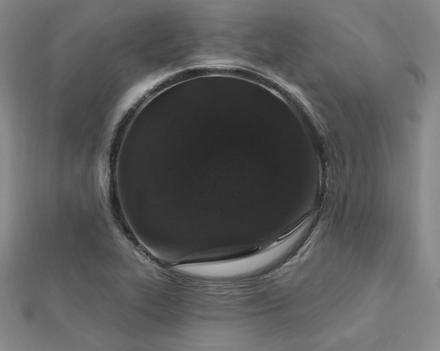 X0000113021319200908271425