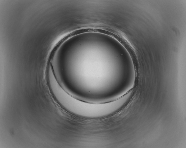 X0000113021320200908271425