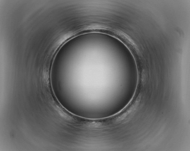 X0000113021321200908271425