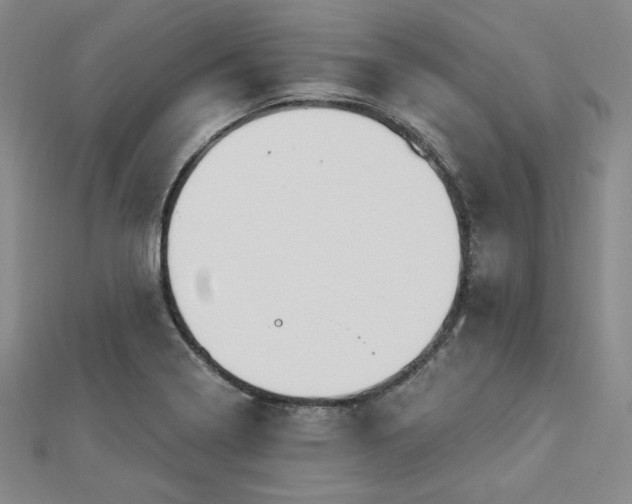 X0000113021322200908271425