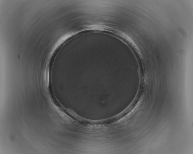X0000113021323200908271425