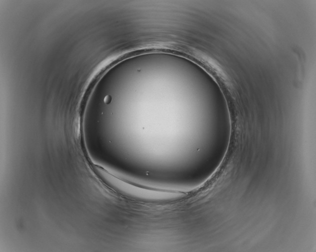X0000113021324200908271425