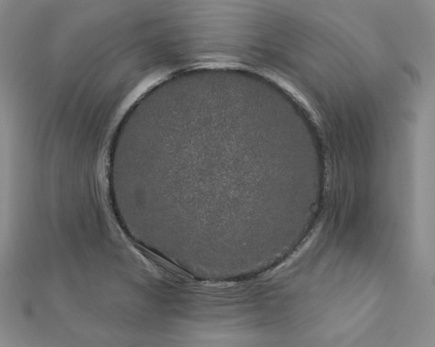 X0000113021325200908271425