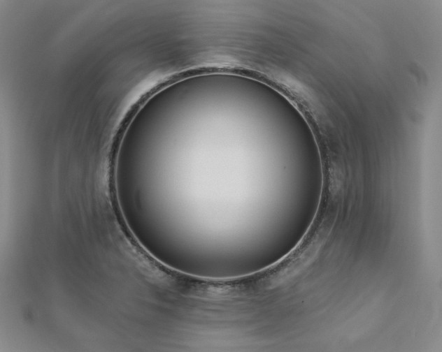 X0000113021326200908271425