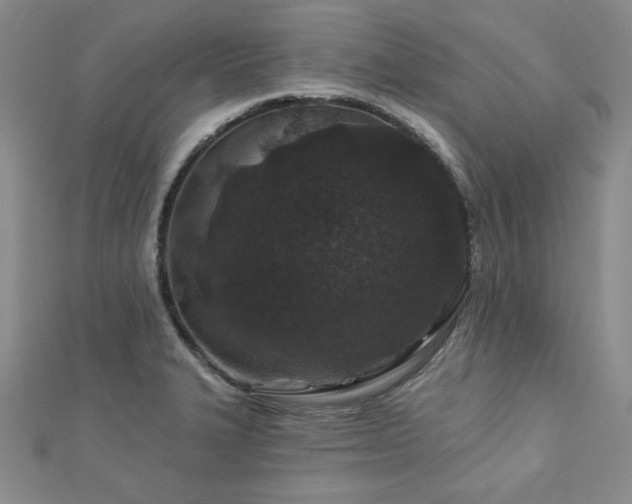 X0000113021327200908271425