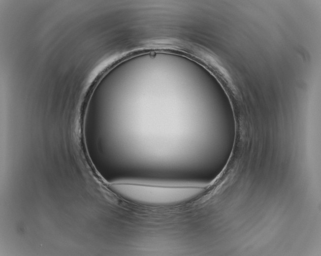 X0000113021328200908271425