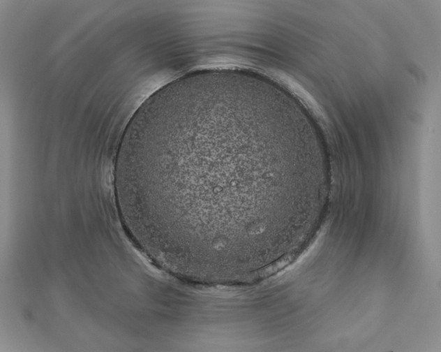 X0000113021329200908271425