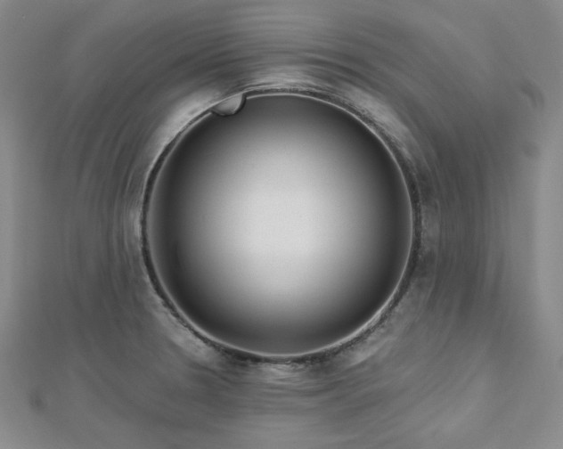 X0000113021330200908271425