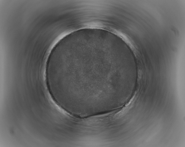 X0000113021331200908271425