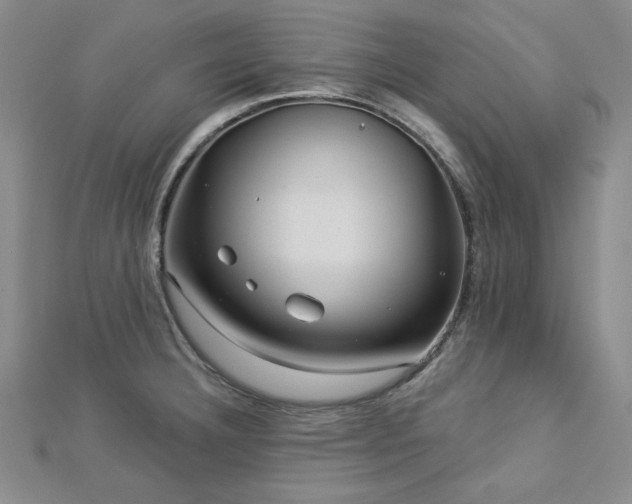 X0000113021332200908271425
