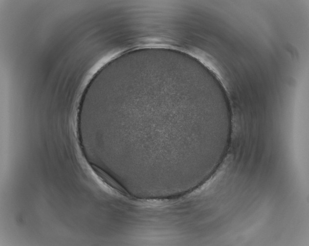 X0000113021333200908271425