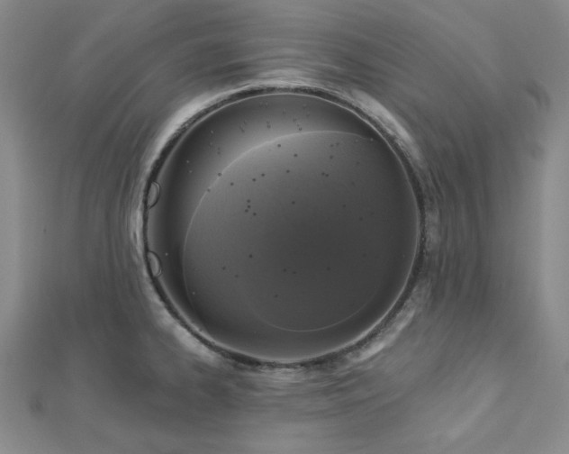 X0000113021334200908271425