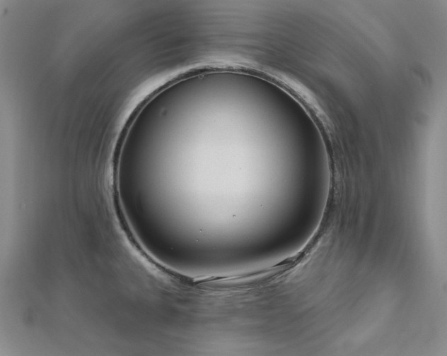 X0000113021335200908271425