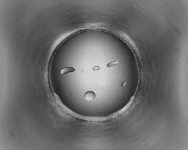 X0000113021336200908271425