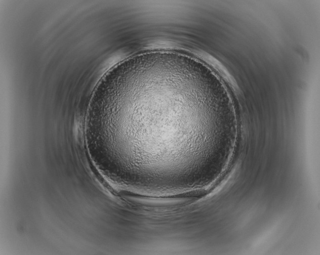 X0000113021337200908271425