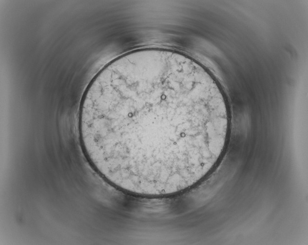 X0000113021338200908271425
