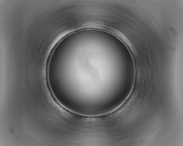 X0000113021339200908271425