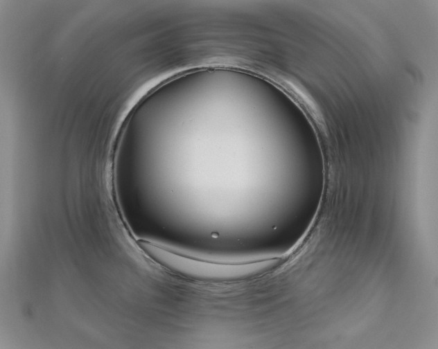 X0000113021340200908271425