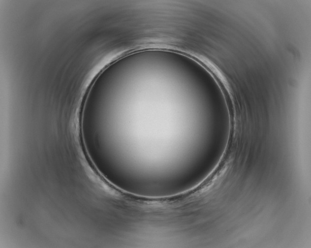 X0000113021341200908271425