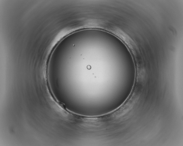 X0000113021342200908271425