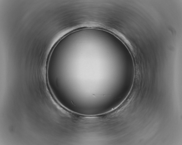 X0000113021343200908271425